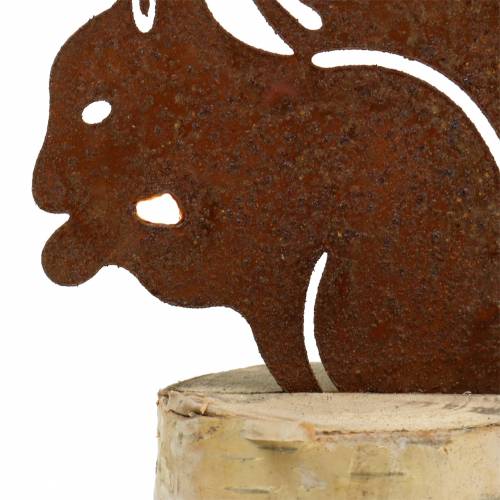 Floristik24 Wiewiórka patyna na pniu wys. 22cm