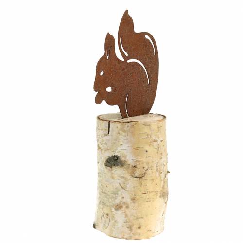 Floristik24 Wiewiórka patyna na pniu wys. 22cm