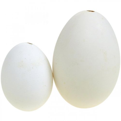 Produkt Jaja łabędzie i jajka kurze mix wydmuszki białe 5,5/8cm 9szt