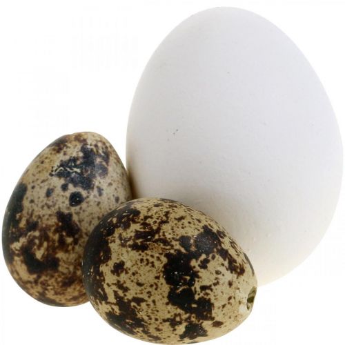 Floristik24 Dekoracyjna mieszanka jajek jajka przepiórcze i jaja kurze Dmuchane pisanki