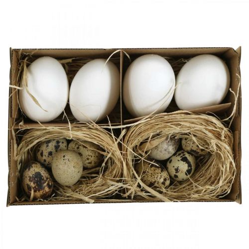 Floristik24 Dekoracyjna mieszanka jajek jajka przepiórcze i jaja kurze Dmuchane pisanki