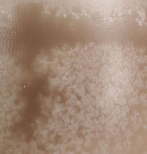 Floristik24 Świeca dekoracyjna jajko Sahara 14cm