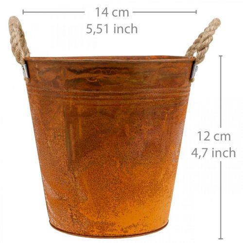 Floristik24 Doniczka, dekoracja jesienna, naczynie metalowe z patyną Ø14cm W12cm