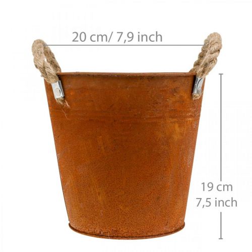 Floristik24 Doniczka dekoracyjna z uchwytami, dekoracja jesienna, miska metalowa patyna Ø20cm W19cm