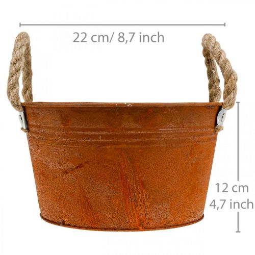 Floristik24 Doniczka metalowa z uchwytami ze sznurka, miska na rośliny, jesień, patyna Ø22cm W12cm