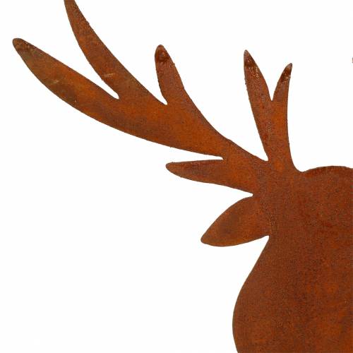 Floristik24 Łoś zardzewiały do przyklejenia H58cm