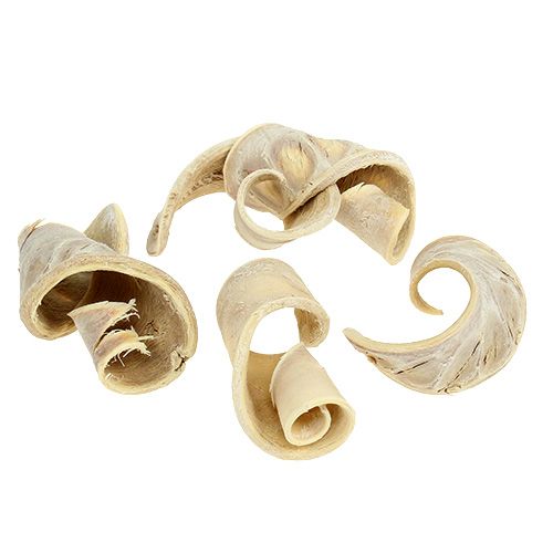 Produkt Ucho Słonia wybielane 25 szt