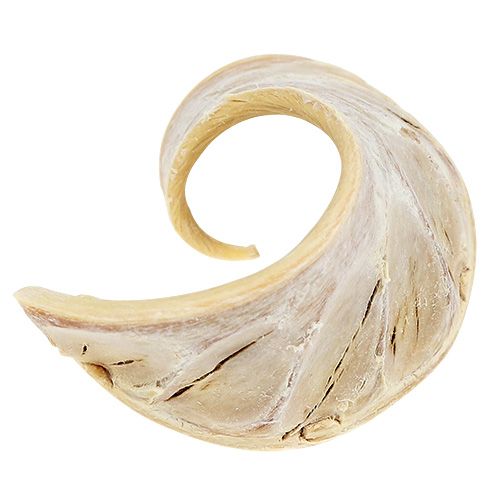 Produkt Ucho Słonia wybielane 25 szt