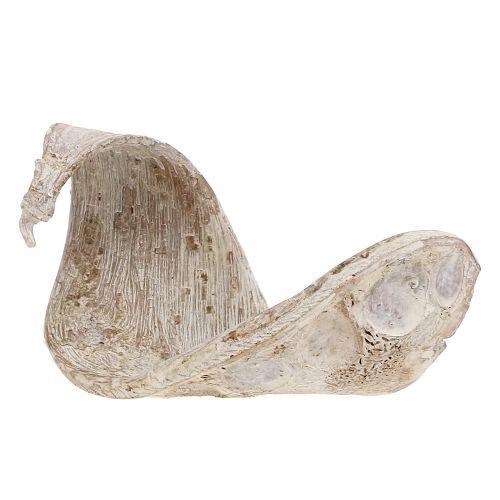 Produkt Ucho Słonia Białe Myte 25 szt