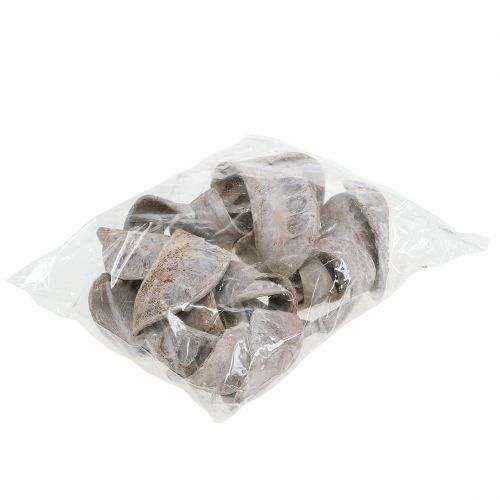 Produkt Ucho Słonia Białe Myte 25 szt