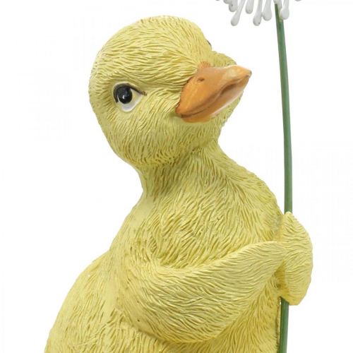 Floristik24 Wiosenna dekoracja, kaczątka z dmuchawcem, figura dekoracyjna wys. 13,5 cm