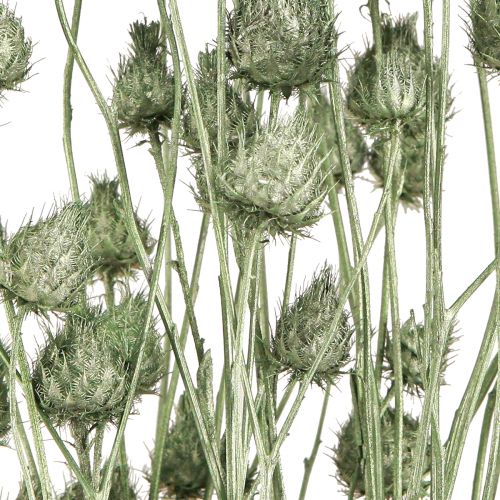 Produkt Osty truskawkowe w kolorze metalicznej zieleni Ø1cm–2cm L55cm 100g