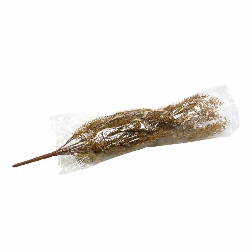 Floristik24 Deko Erika Gałązka Żółty Wrzos, Brązowy H50cm