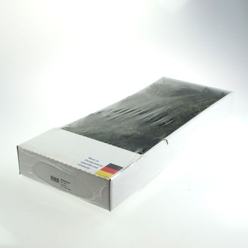 Floristik24 Erik moss green 750gr