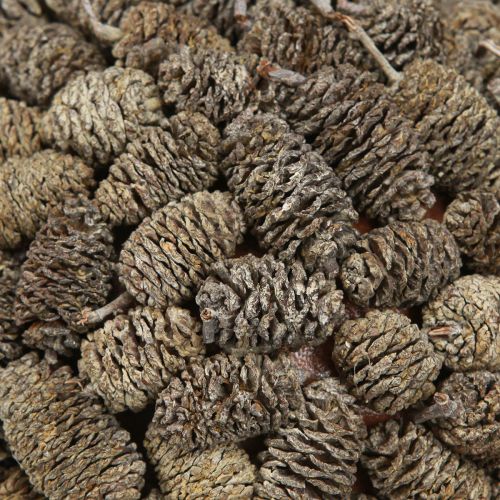 Produkt Szyszka olchowa kula ozdobna do zawieszenia, bielona, 20 cm