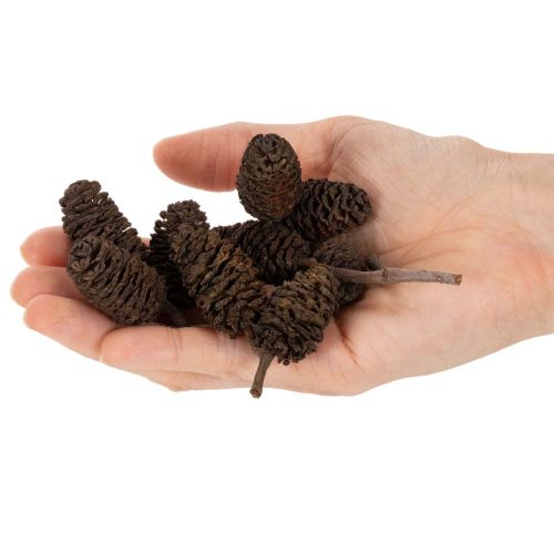 Szyszki olchowe naturalne, luzem, do dekoracji, 3cm, 300g, naturalny brąz. | Floristik24.pl
