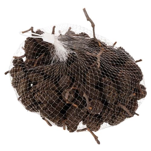 Szyszki olchowe naturalne,