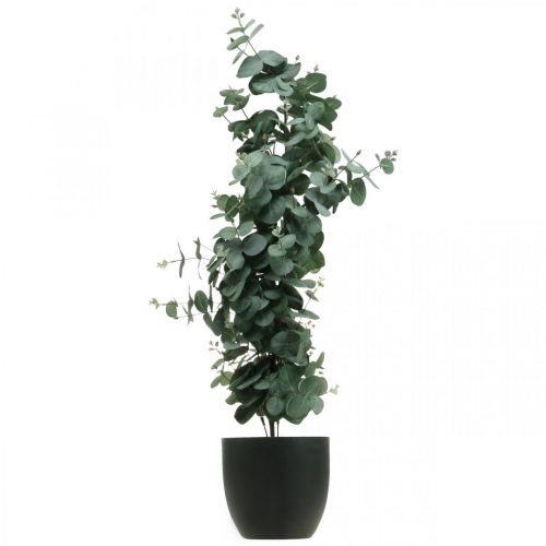 Floristik24 Eukaliptus w doniczce sztuczna roślina Sztuczna dekoracja roślinna wys.87cm