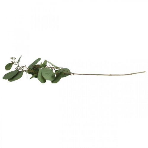 Floristik24 Sztuczna gałąź eukaliptusowa z pąkami sztuczna roślina 60cm