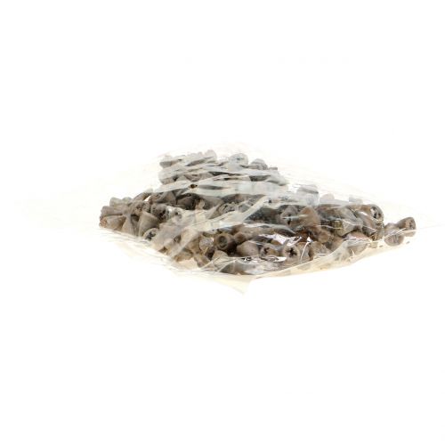Floristik24 Owoce eukaliptusa woskowane szaro-brązowe 250g