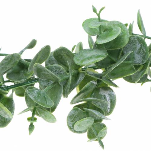 Produkt Girlanda Eukaliptusowa Zielona 180cm