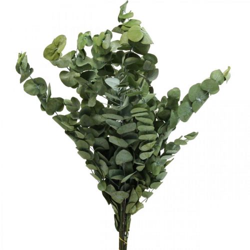 Produkt Eukaliptus Konserwowane Gałęzie Liście Okrągłe Zielone 150g