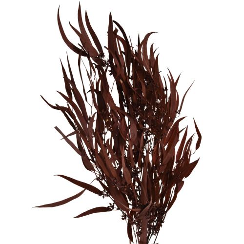 Produkt Eukaliptus Konserwowane Gałęzie Eukaliptusa Czerwony, Brązowy 56cm 135g