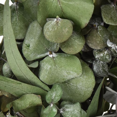 Produkt Wieniec eukaliptusowy naturalny wianek eukaliptus konserwowany Ø35cm