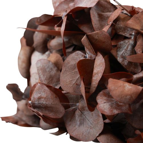 Floristik24 Wieniec eukaliptusowy naturalny wianek eukaliptus konserwowany czerwony Ø33cm