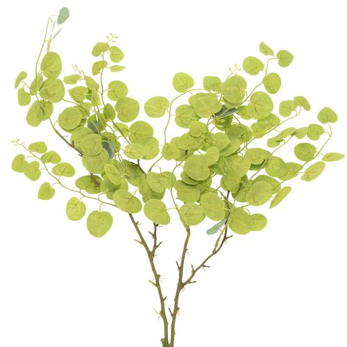 Produkt Gałązka eukaliptusa dekoracyjna, idealna dekoracja stołu, 120 cm