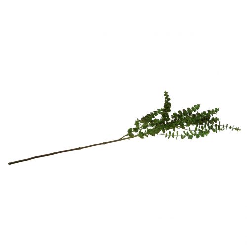 Produkt Gałąź eukaliptusa zielona 130 cm