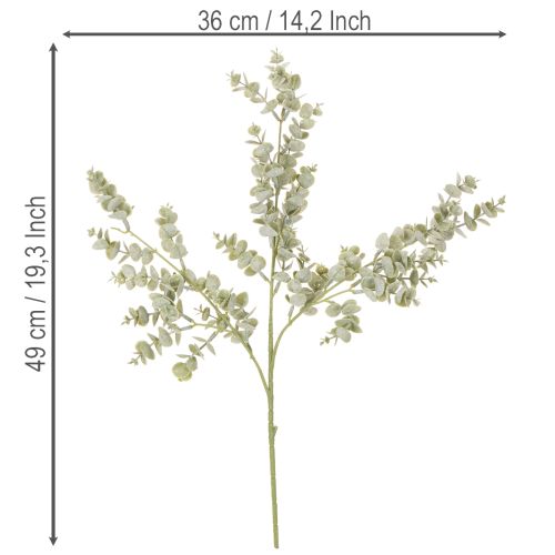 Sztuczna gałązka eukaliptusa, ozdobna do wazonów i bukietów, 49 cm, 4 sztuki | Floristik24.pl