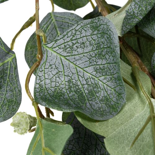 Produkt Sztuczny eukaliptus do nowoczesnych wnętrz, 85 cm, 3 sztuki