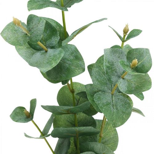 Floristik24 Gałąź eukaliptusa Sztuczna zielona roślina Eucalyptus Deco 75cm