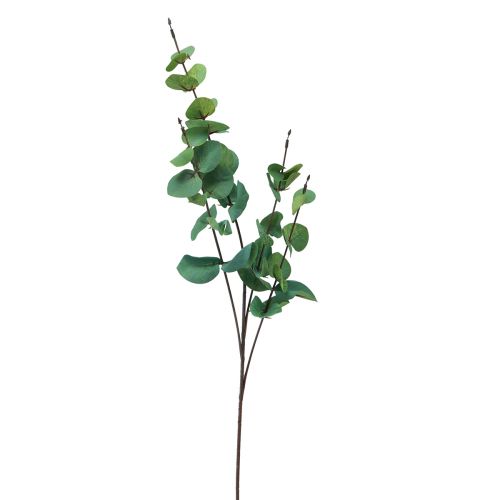 Floristik24 Gałąź eukaliptusa sztuczny eukaliptus zielony 64cm