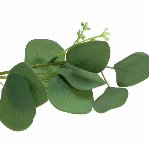 Floristik24 Gałązka eukaliptusa 52cm