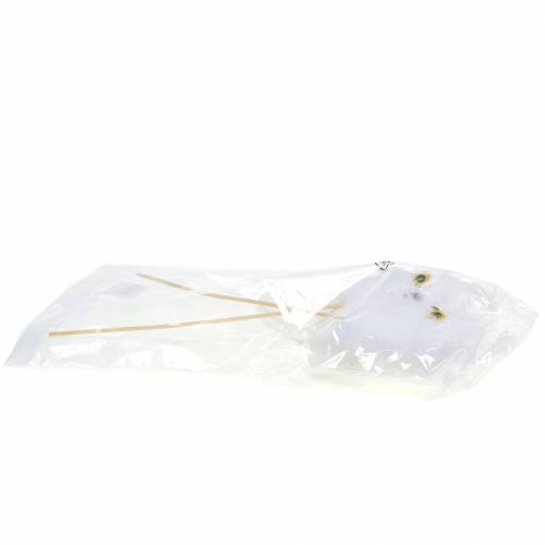 Floristik24 Wtyczka dekoracyjna sowa biała 10cm 2szt