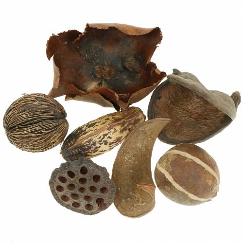 Floristik24 Exotics asortyment natura w sieci 200g