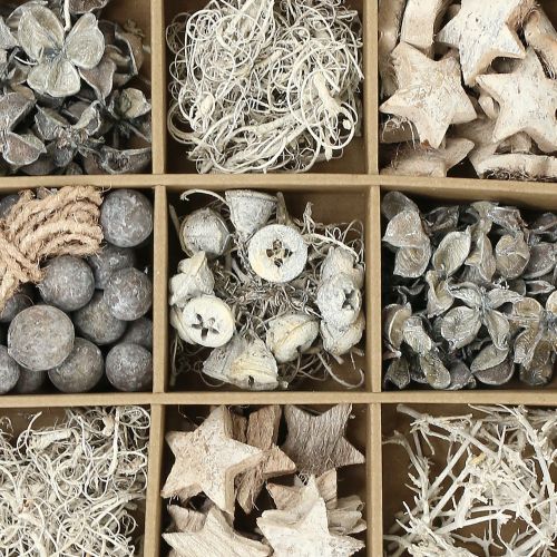 Floristik24 Exotic mix white washed