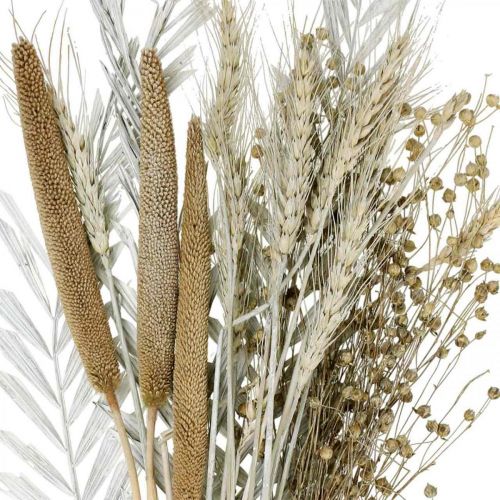 Floristik24 Suszone Kwiaty DIY Box Egzotyczny Suchy Bukiet Biały, Naturalny W55cm