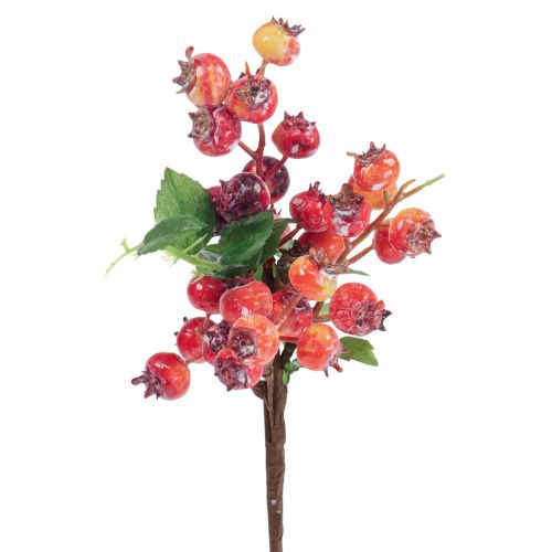 Floristik24 Dekoracja z dzikiej róży Gałązka dzikiej róży Sztuczna gałąź dekoracyjna 35cm