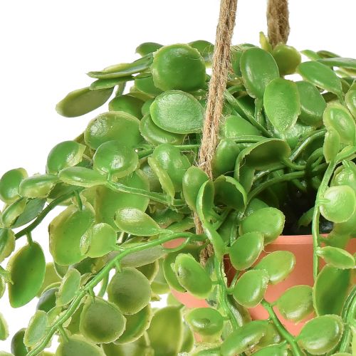 Floristik24 Sztuczne sukulenty w doniczce Sedum wiszący kosz 34cm