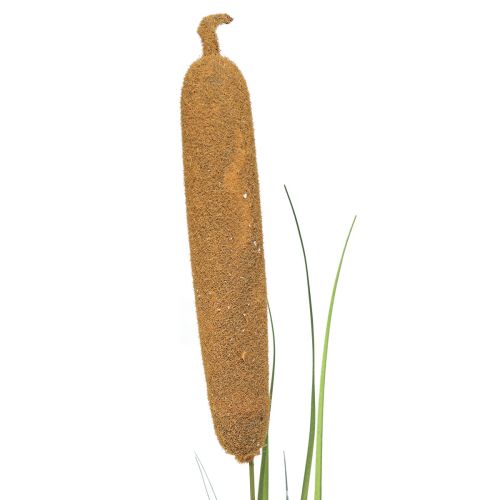Produkt Rośliny sztuczne, pałka wodna sztuczna, dekoracja z trzciny 92cm