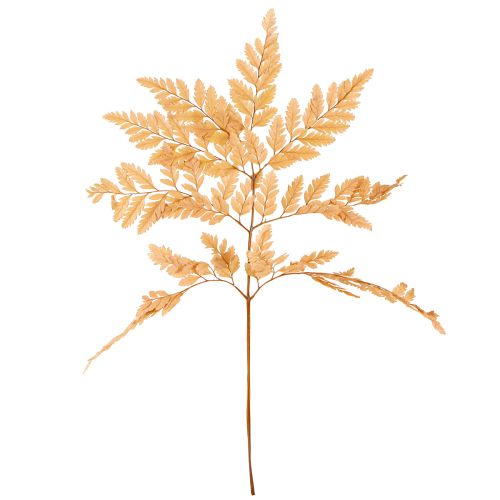 Produkt Dekoracja z paproci Prawdziwe liście paproci Pomarańczowe konserwowane 45 cm 10 szt