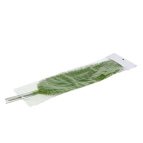 Floristik24 Liście paproci zielone 59cm 6szt