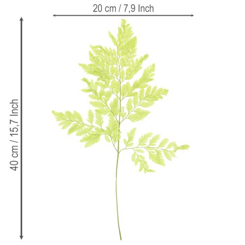 Produkt Paprocie: zakonserwowany, wysokiej jakości naturalny materiał do długotrwałych projektów dekoracyjnych, 40 cm, 10 sztuk