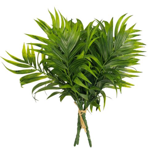 Floristik24 Liście palmowe dekoracja palmowa sztuczne rośliny zielone 30cm 3szt
