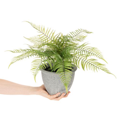 Sztuczna paproć w doniczce do salonu i biura, 35 cm | Floristik24.pl