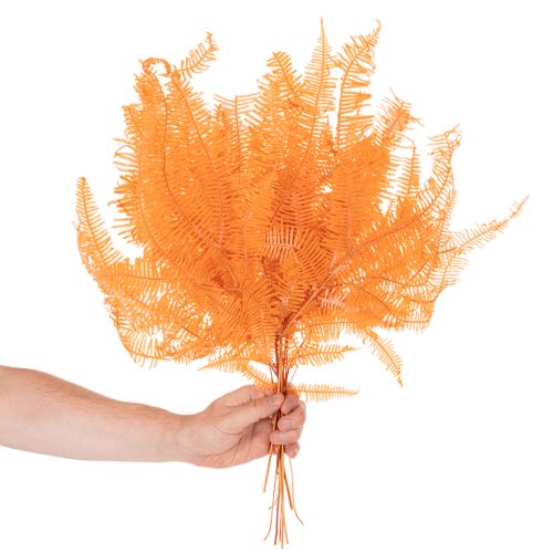 Gałązka paproci, paproć konserwowana, suszona dekoracja do kompozycji, 60cm, 10 szt. | Floristik24.pl