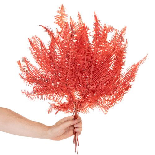 Paprocie, suszone kwiaty, dekoracja jesienna, 60 cm, 10 szt. | Floristik24.pl